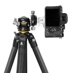 ALTA PRO 3 303CLBPS｜30脚径カーボン三脚｜自由雲台LBP-55S付属｜耐荷重25kg｜軽量雲台｜軽量スリム