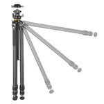 ALTA PRO 3 303CLBPS｜30脚径カーボン三脚｜自由雲台LBP-55S付属｜耐荷重25kg｜軽量雲台｜軽量スリム