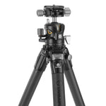 ALTA PRO 3X 264CLBPS｜26脚径カーボン三脚｜自由雲台LBP-50S付属｜耐荷重20kg｜軽量雲台｜センターポールレス