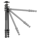ALTA PRO 3X 264CLBPS｜26脚径カーボン三脚｜自由雲台LBP-50S付属｜耐荷重20kg｜軽量雲台｜センターポールレス