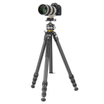 VEO 5 264CLBS｜26脚径カーボン三脚｜自由雲台LB-50S付属｜耐荷重15kg｜軽量雲台｜軽量スリム