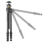 VEO 5 264CLBS｜26脚径カーボン三脚｜自由雲台LB-50S付属｜耐荷重15kg｜軽量雲台｜軽量スリム