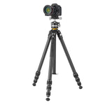 VEO 5T 234CLBS｜23脚径カーボン三脚｜自由雲台LB-45S付属｜耐荷重10kg｜軽量雲台｜軽量スリム